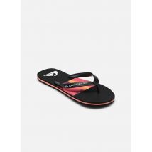 Tongs MOLOKAI STRIPE 25 Multicolore - Quiksilver - Disponible en 42
