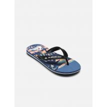 Zehensandalen MOLOKAI ART 25 YOUTH mehrfarbig - Quiksilver - Größe 38