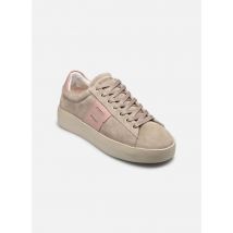 Blackstone Raie skarn Beige - Sneakers - Beschikbaar in 41