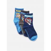 Chaussettes et collants Lot de 3 paires PAT PATROUILLE garçon Bleu - Sarenza Wear - Disponible en 31 - 34