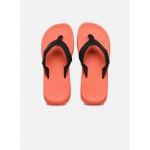 Havaianas Track Plus - Tongs - Disponible en 43 - 44