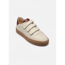 Belledonne Paris B0 Velcro Beige - Baskets - Disponible en 38