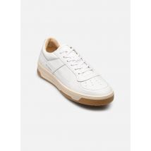 Belledonne Paris B8 M Blanc - Baskets - Disponible en 40