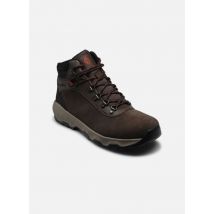 Columbia NEWTON WANDER M - Chaussures de sport - Disponible en 47