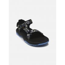 Sandales et nu-pieds Hurricane XLT 2 Noir - Teva - Disponible en 35