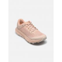 Merrell ANTORA 4 - Chaussures de sport - Disponible en 39