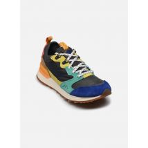Merrell ALPINE 83 SNEAKER RECRAFT Multicolore - Baskets - Disponible en 44