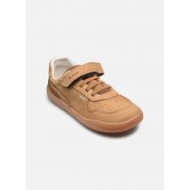 Primigi B&G SIGN - Barefoot Marron - Baskets - Disponible en 24