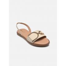 Sandales et nu-pieds D NAILEEN PAPYRUS Beige - Geox - Disponible en 39