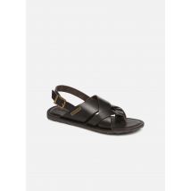 Les Tropéziennes par M Belarbi DACO - Sandals Men, Brown