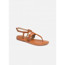 L'Atelier Tropézien SH666 - Sandals Women, Brown