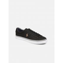 Polo Ralph Lauren Sayer - Canvas - Trainers Men, Black