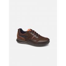 Fluchos Cypher 0659 - Trainers Men, Brown