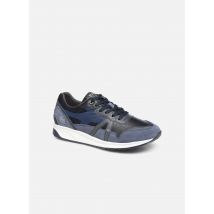 TBS Squalle - Trainers Men, Blue