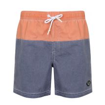 Swim Shorts Ledward Colour Block Swim Shorts in Crown Blue - South Shore / S - Tokyo Laundry