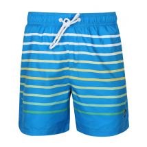 Swim Shorts Freemason Ombre Striped Swim Shorts in Swedish Blue - South Shore / L - Tokyo Laundry
