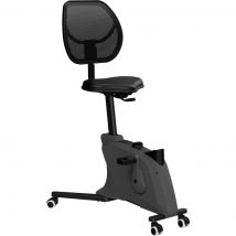 Bureaufiets Ross