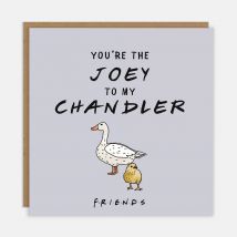 You're The Joey To My Chandler