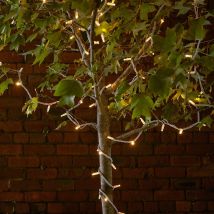 Pro Connect 5m 50 Traditional Warm White Connectable String Lights White Cable