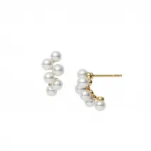 Mikimoto 18ct Yellow Gold Akoya Cultured Pearl Cluster Earrings
