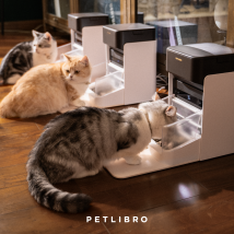 Petlibro One RFID Pet Feeder, 2 Packs