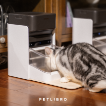 Petlibro One RFID Pet Feeder, 1 Pack
