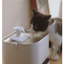 Petlibro Dockstream Battery-Operated Water Fountain, White / Dockstream, wireless cat fountain