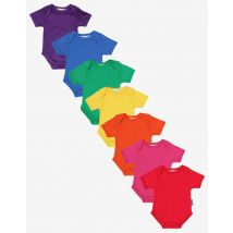 Organic Basic Short-Sleeved Baby Bodysuit Bundle (3-6m / 68cm)