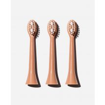 Replacement Toothbrush Heads Rose Spotlight Oral Care, 3 Brush Heads