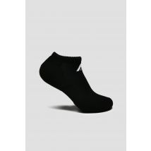 Montirex - MTX No Show Socks 3 Pack - Black, White - 2-5 - Socks