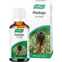 A Vogel Plantago Drops (50ml)