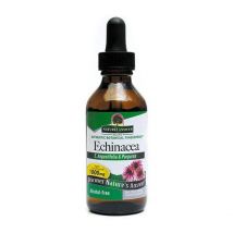 Nature's Answer Echinacea Root, 60ml