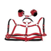 4-teiliges Harness-Set in Leder-Optik
