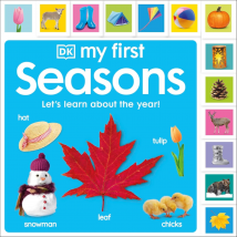 DK My First Seasons Lets Learn About the Year Childrens Book