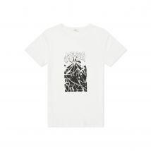 Celine Printed Cotton T-Shirt
