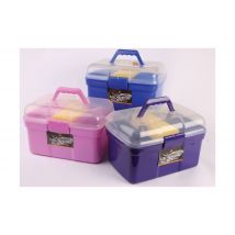 Lincoln Grooming Kit - Purple