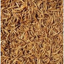 Hutton Mill Mealworms - 2KG