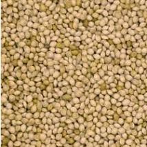 JJ Milletseed White French