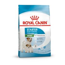 RC Mini Starter - 4KG