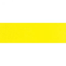 Winsor and Newton Professional Watercolour - Whole Pan