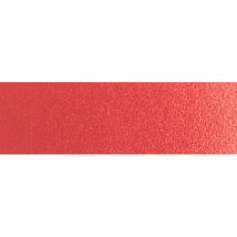 Winsor and Newton Professional Watercolour - Whole Pan