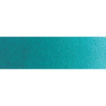 Winsor and Newton Professional Watercolour - Whole Pan