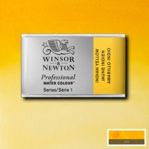 Winsor and Newton Professional Watercolour - Whole Pan