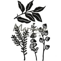 Herbs & leaves