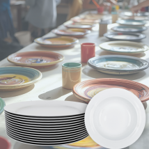 Rimmed Plate 21 cm – Bisque Blanks – Box of 12