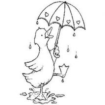Puddle Duck