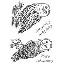SD Snowy Owl and Barn Owl
