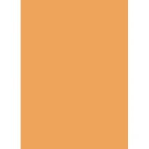 Latte A4 (240 gsm) (25)