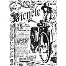 SCC Bicycle