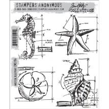 Tim Holtz - Nautical Blueprint- Stamp